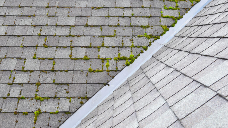 Moss Removal from asphalt roof before and after