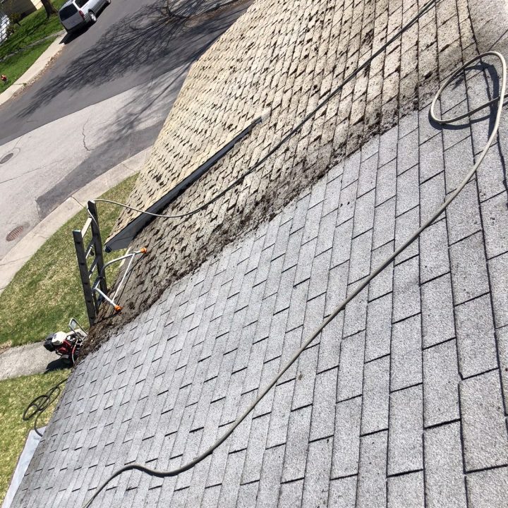 Roof Savers roof cleaning moss removal in Spokane WA